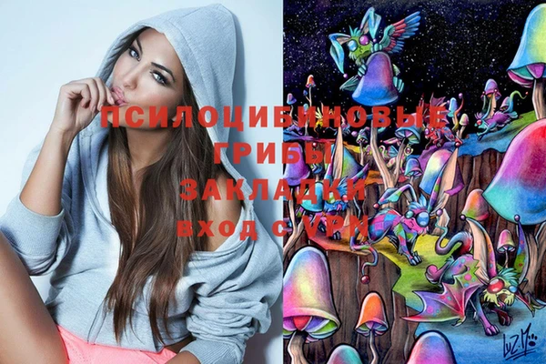 герыч Тихвин